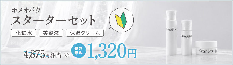 スターターセット