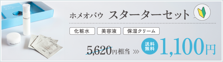 スターターセット