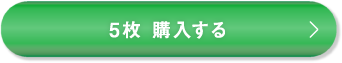 5枚 購入する