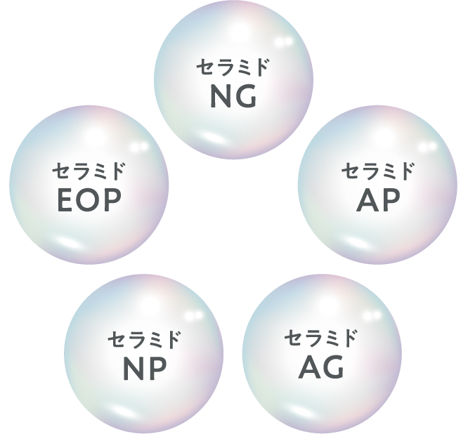 ナノ化した「ヒト型セラミド」配合