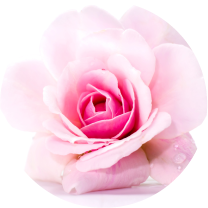 エイジングケア成分