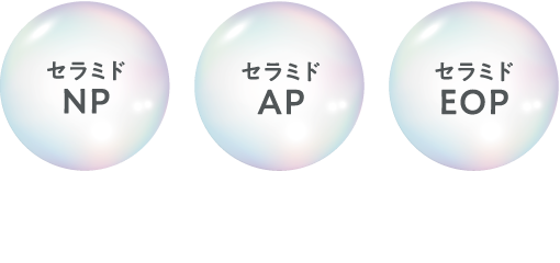 3種の「ヒト型セラミド」