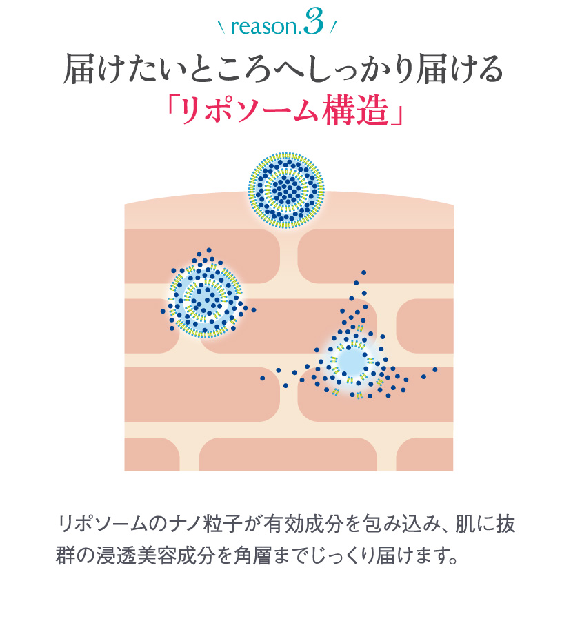 reason.3届けたいところへしっかり届ける「リポソーム構造」