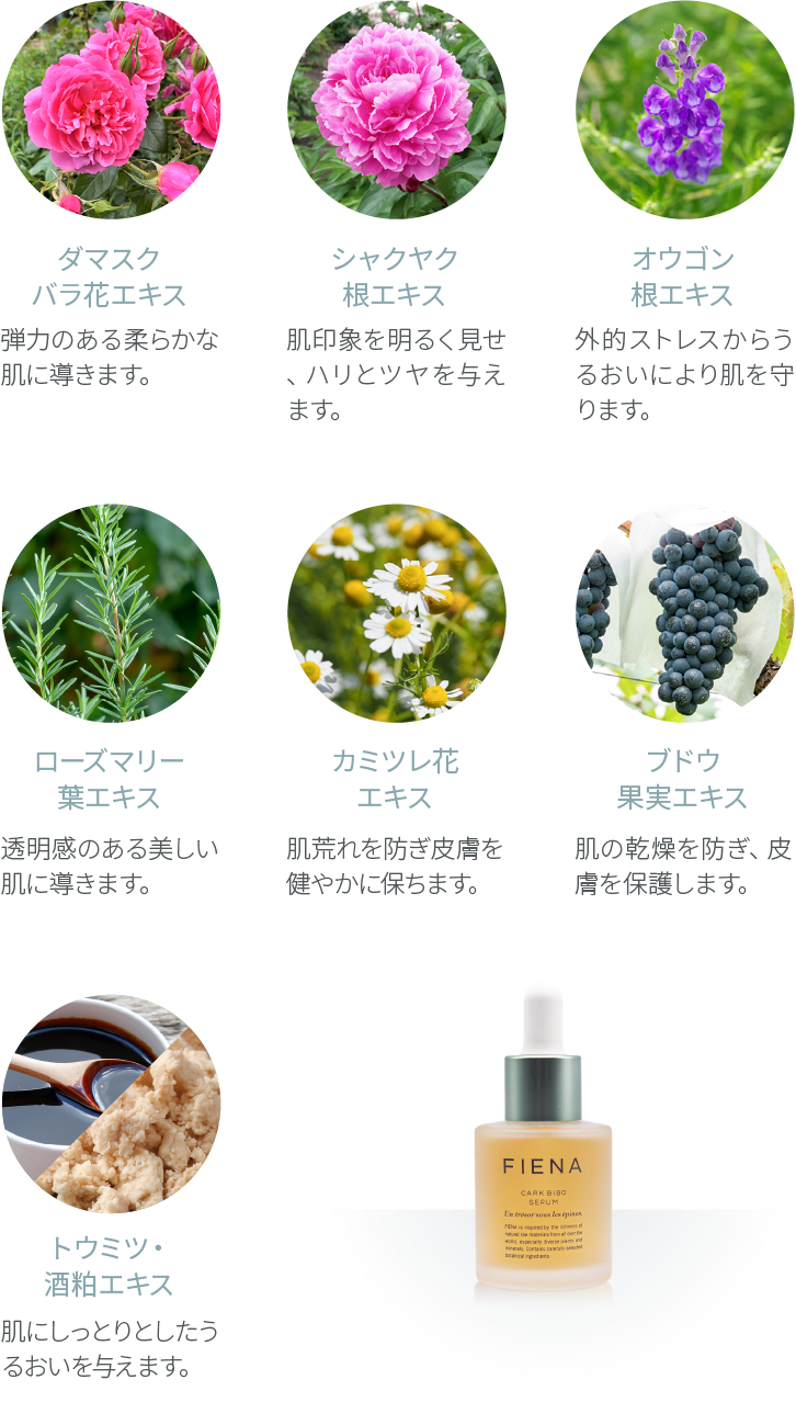 フィエナ カークビボーセラム フラーレン高配合の化粧品・スキンケアの
