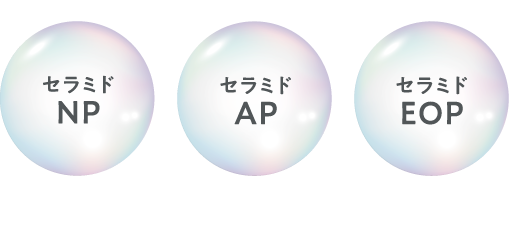 ホメオバウ モイストウォッシングフォーム フラーレン高配合の化粧品