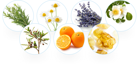 o Beau スキンケアセット ボタニカル オイルコントロール ローション ＆ フェイス